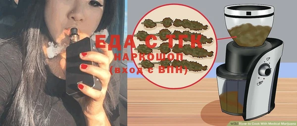 индика Михайловка