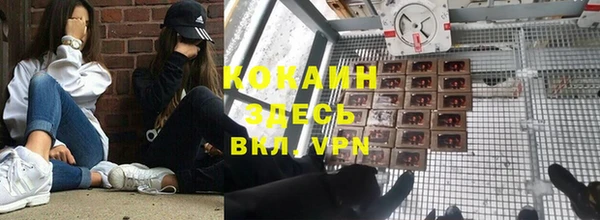 индика Валдай