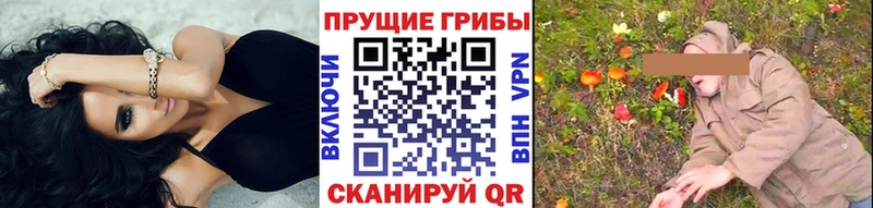 Псилоцибиновые грибы Psilocybine cubensis Коряжма