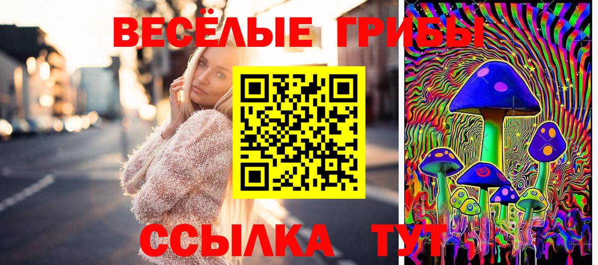 Псилоцибиновые грибы Magic Shrooms Коряжма