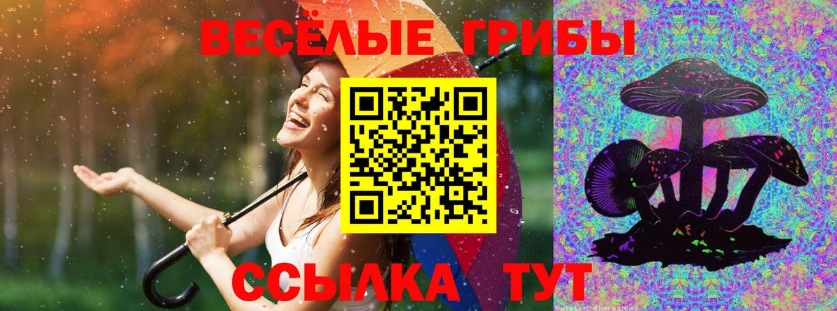 Коряжма  Псилоцибиновые грибы Magic Shrooms  купить   Вход с VPN 