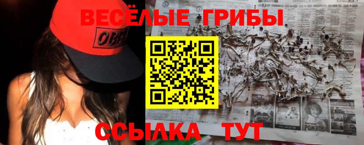 Галлюциногенные грибы Psilocybine cubensis Коряжма