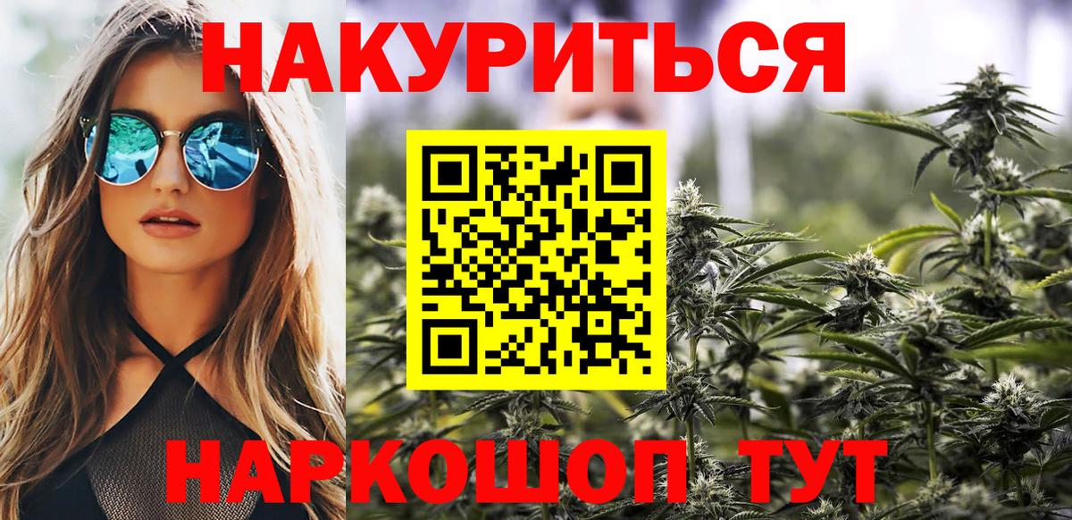 Каннабис сатива Коряжма